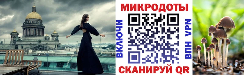 цены   Курильск  Галлюциногенные грибы GOLDEN TEACHER 